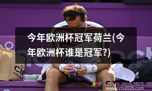 今年欧洲杯冠军荷兰(今年欧洲杯谁是冠军?)