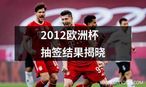 2012欧洲杯抽签结果揭晓
