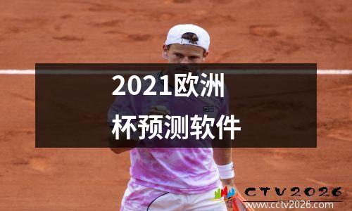 2021欧洲杯预测软件