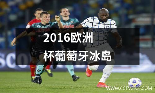 2016欧洲杯葡萄牙冰岛