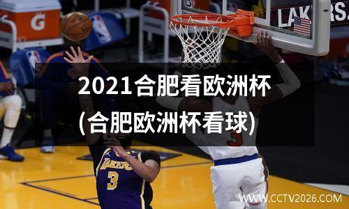 2021合肥看欧洲杯(合肥欧洲杯看球)