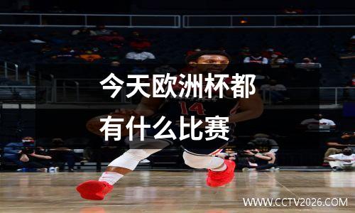 今天欧洲杯都有什么比赛