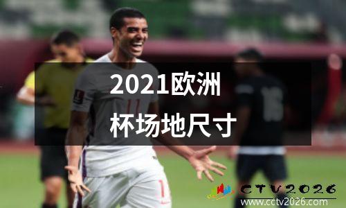 2021欧洲杯场地尺寸