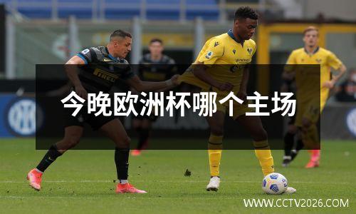 今晚欧洲杯哪个主场