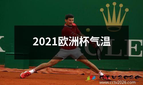 2021欧洲杯气温