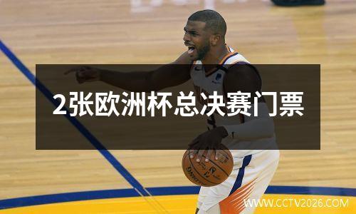 2张欧洲杯总决赛门票