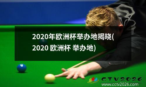 2020年欧洲杯举办地揭晓(2020 欧洲杯 举办地)