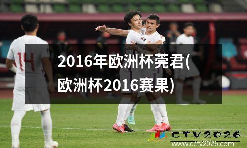 2016年欧洲杯莞君(欧洲杯2016赛果)