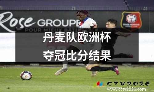 丹麦队欧洲杯夺冠比分结果