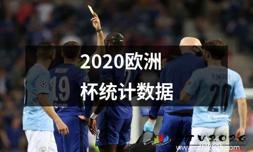 2020欧洲杯统计数据