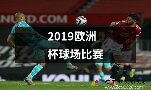 2019欧洲杯球场比赛