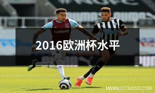 2016欧洲杯水平