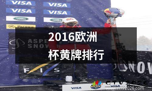 2016欧洲杯黄牌排行
