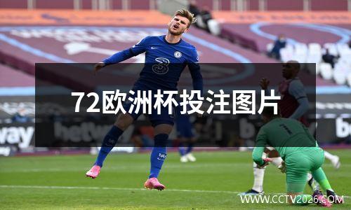 72欧洲杯投注图片