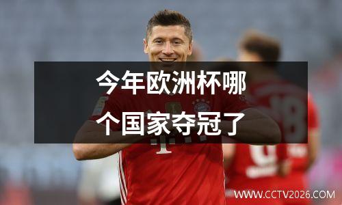 今年欧洲杯哪个国家夺冠了