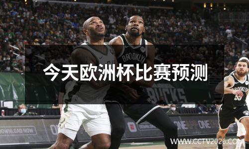 今天欧洲杯比赛预测