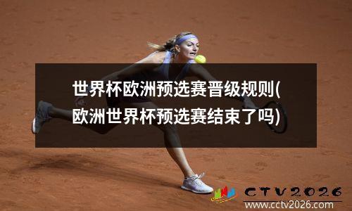 世界杯欧洲预选赛晋级规则(欧洲世界杯预选赛结束了吗)