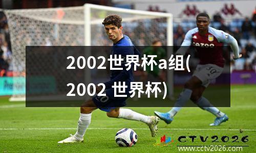 2002世界杯a组(2002 世界杯)