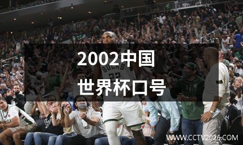 2002中国世界杯口号