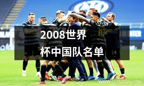 2008世界杯中国队名单