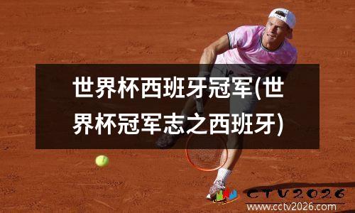 世界杯西班牙冠军(世界杯冠军志之西班牙)