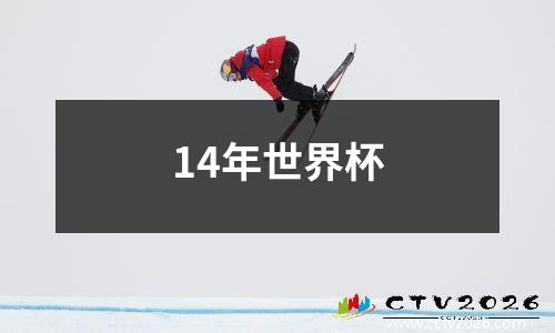 14年世界杯