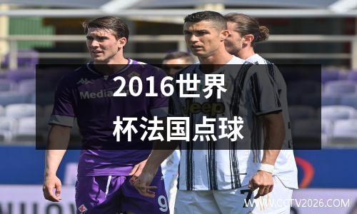 2016世界杯法国点球