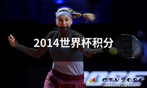 2014世界杯积分