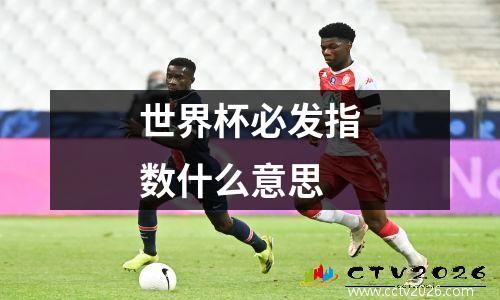 世界杯必发指数什么意思