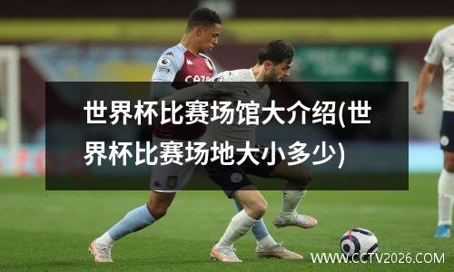 世界杯比赛场馆大介绍(世界杯比赛场地大小多少)