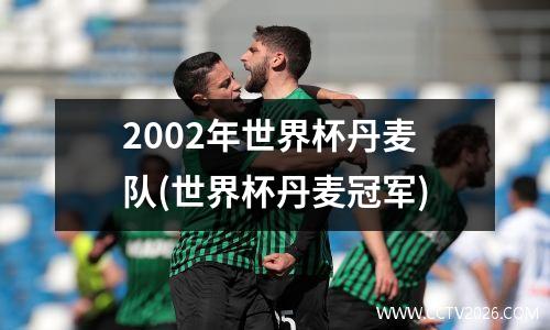 2002年世界杯丹麦队(世界杯丹麦冠军)