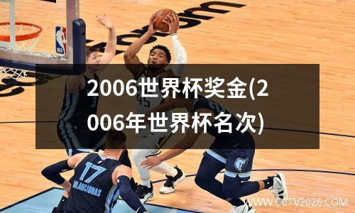 2006世界杯奖金(2006年世界杯名次)