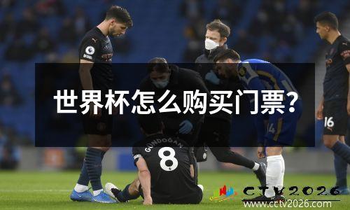 世界杯怎么购买门票？