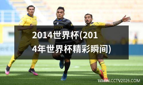 2014世界杯(2014年世界杯精彩瞬间)