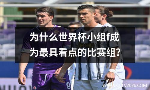 为什么世界杯小组f成为最具看点的比赛组？