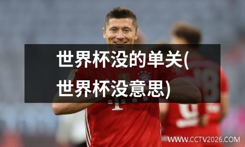 世界杯没的单关(世界杯没意思)