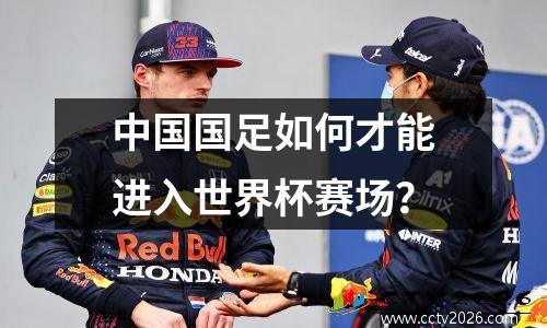 中国国足如何才能进入世界杯赛场？