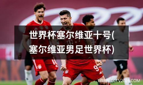 世界杯塞尔维亚十号(塞尔维亚男足世界杯)
