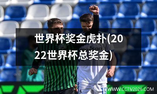 世界杯奖金虎扑(2022世界杯总奖金)