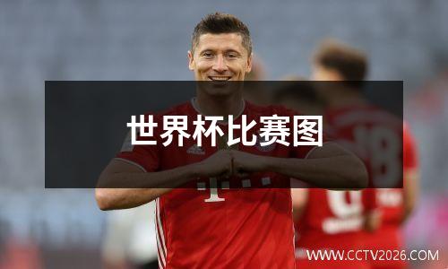 世界杯比赛图