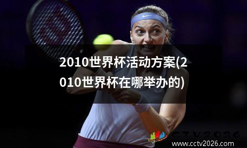 2010世界杯活动方案(2010世界杯在哪举办的)