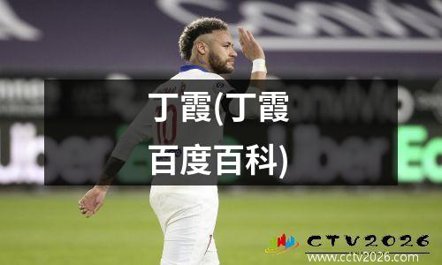 丁霞(丁霞 百度百科)