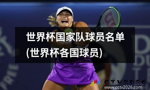 世界杯国家队球员名单(世界杯各国球员)