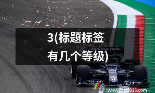 3(标题标签有几个等级)
