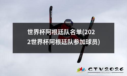 世界杯阿根廷队名单(2022世界杯阿根廷队参加球员)