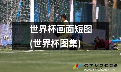 世界杯画面短图(世界杯图集)