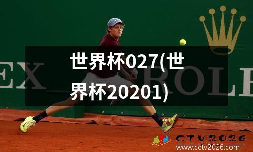 世界杯027(世界杯20201)