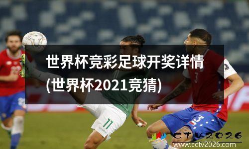 世界杯竞彩足球开奖详情(世界杯2021竞猜)