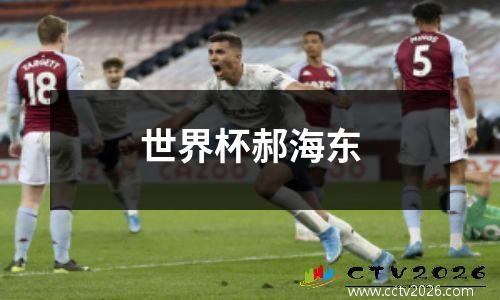 世界杯郝海东