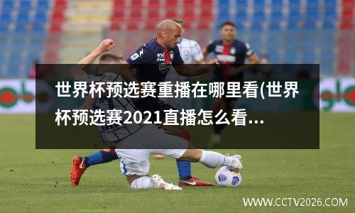 世界杯预选赛重播在哪里看(世界杯预选赛2021直播怎么看)